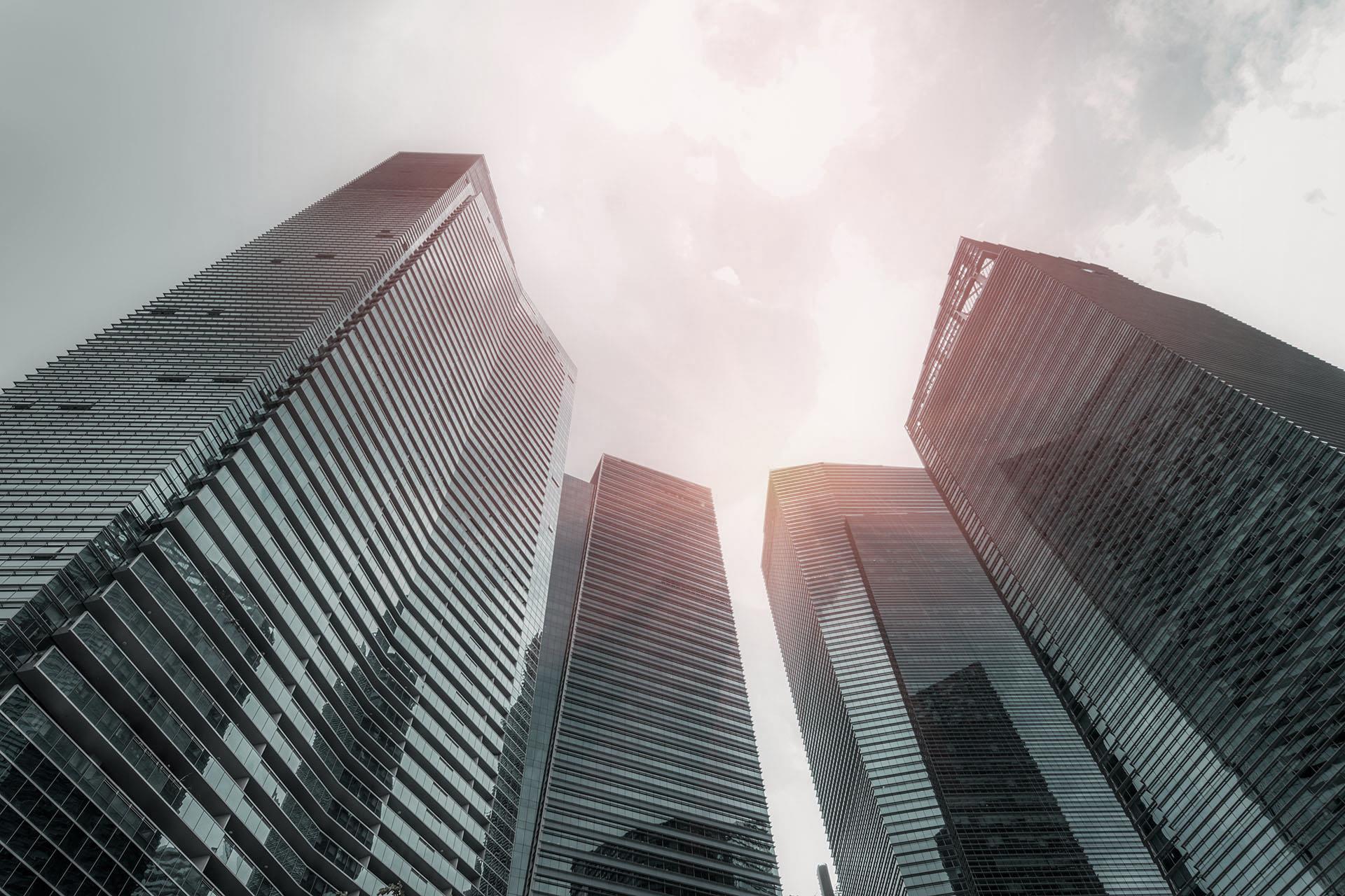 Segezha Group не выплатит дивиденды за 2024 год